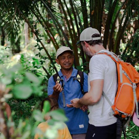 Ambow Homestay Jungle Trekking & Village Tour Bukit Lawang Exterior photo