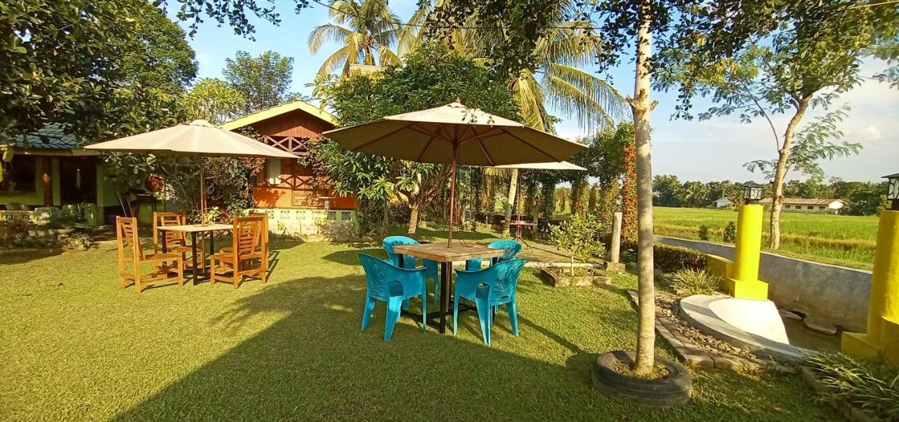 Ambow Homestay Jungle Trekking & Village Tour Bukit Lawang Exterior photo