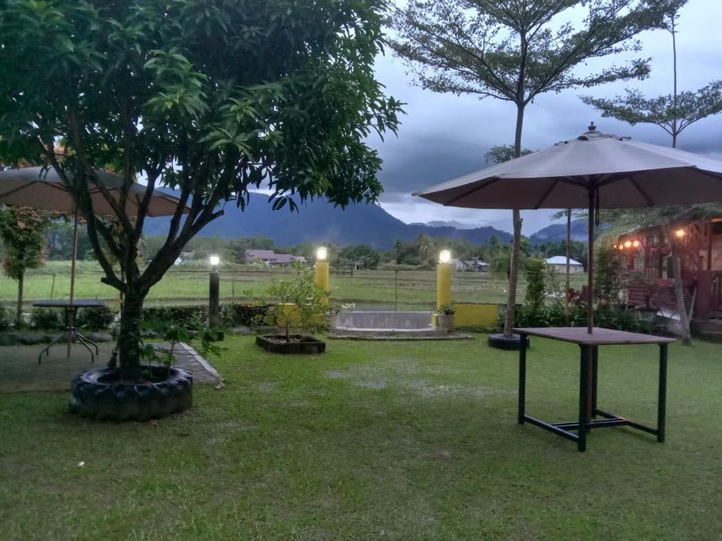 Ambow Homestay Jungle Trekking & Village Tour Bukit Lawang Exterior photo