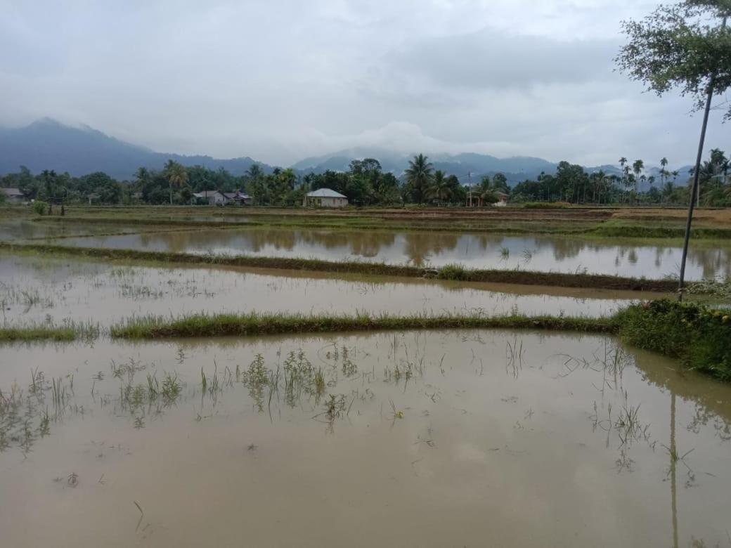 Ambow Homestay Jungle Trekking & Village Tour Bukit Lawang Exterior photo