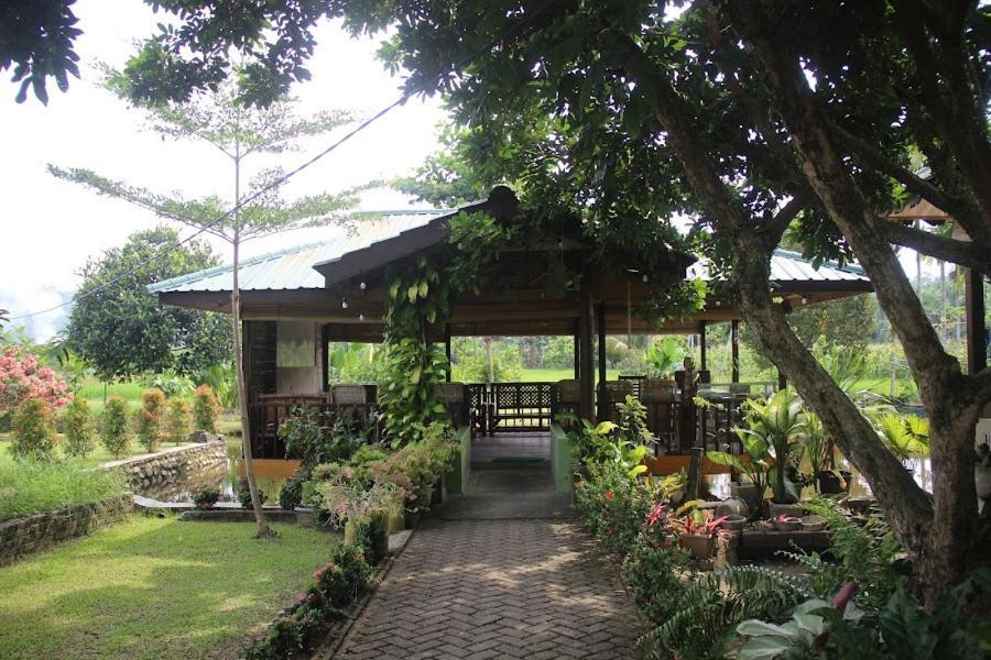Ambow Homestay Jungle Trekking & Village Tour Bukit Lawang Exterior photo