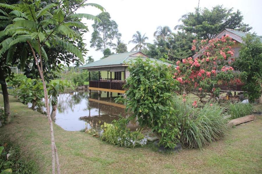 Ambow Homestay Jungle Trekking & Village Tour Bukit Lawang Exterior photo