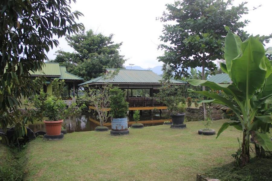 Ambow Homestay Jungle Trekking & Village Tour Bukit Lawang Exterior photo
