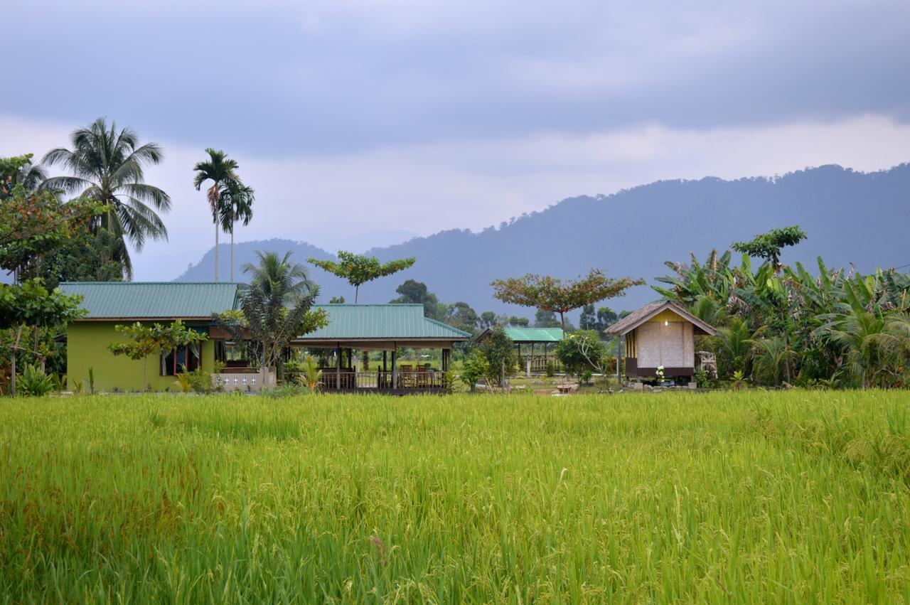 Ambow Homestay Jungle Trekking & Village Tour Bukit Lawang Exterior photo