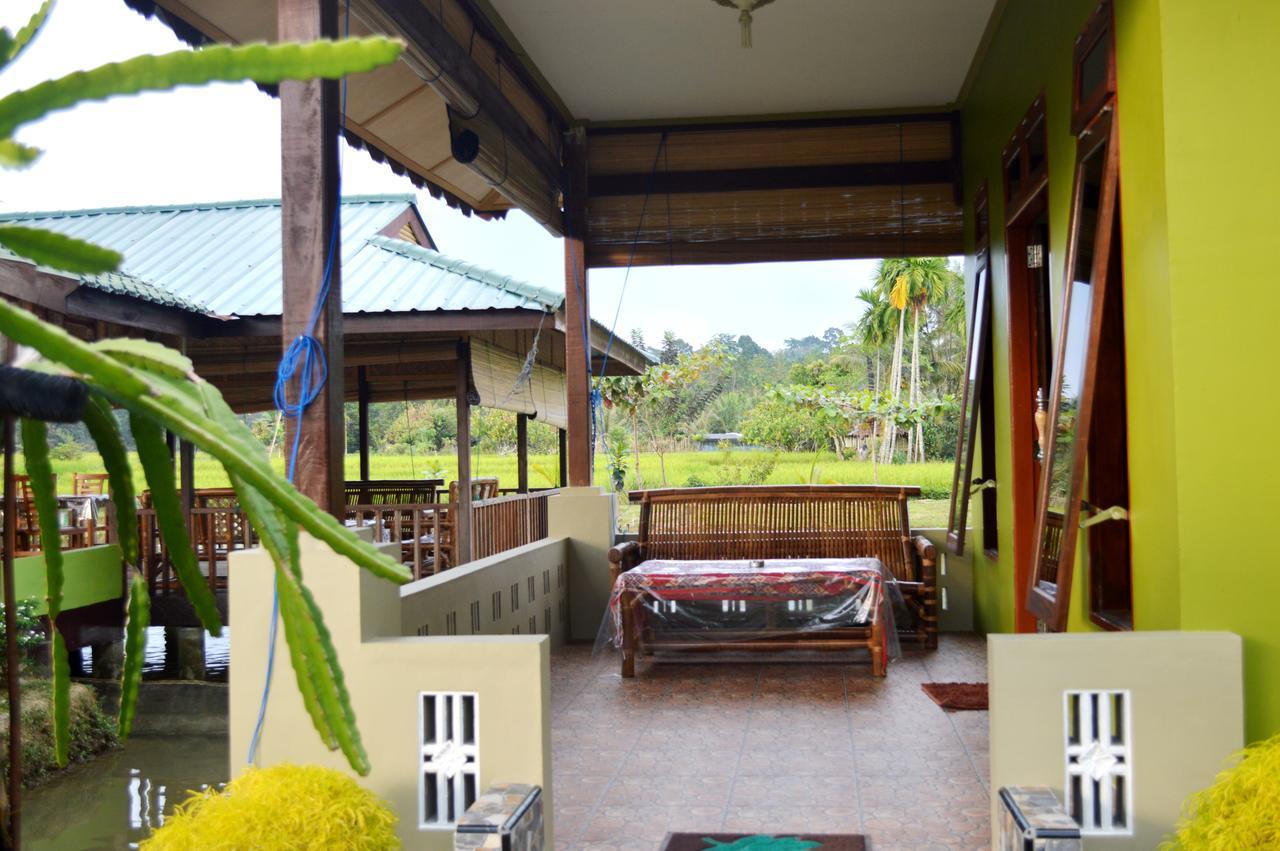 Ambow Homestay Jungle Trekking & Village Tour Bukit Lawang Exterior photo