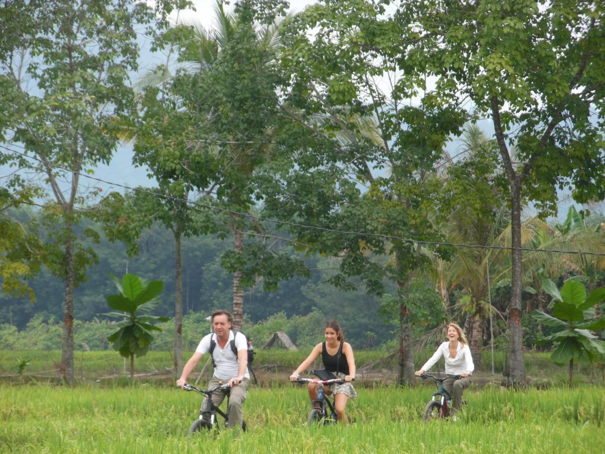 Ambow Homestay Jungle Trekking & Village Tour Bukit Lawang Exterior photo