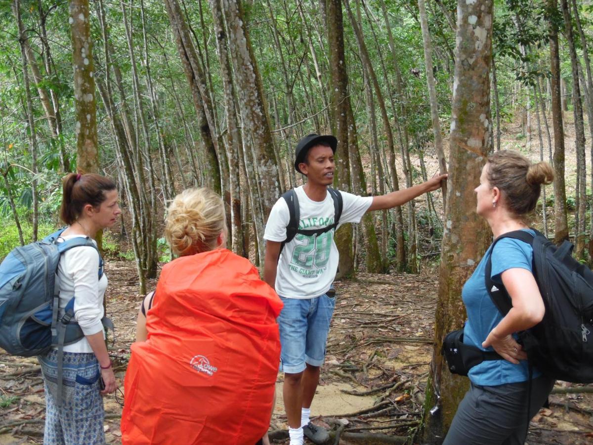 Ambow Homestay Jungle Trekking & Village Tour Bukit Lawang Exterior photo