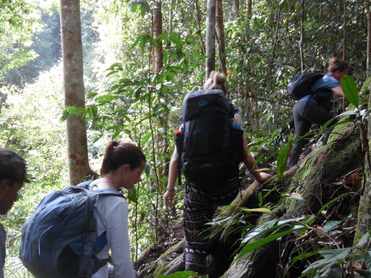Ambow Homestay Jungle Trekking & Village Tour Bukit Lawang Exterior photo