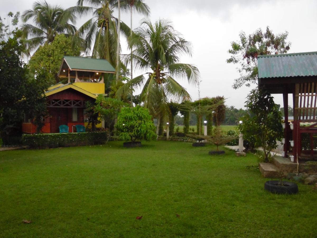 Ambow Homestay Jungle Trekking & Village Tour Bukit Lawang Exterior photo